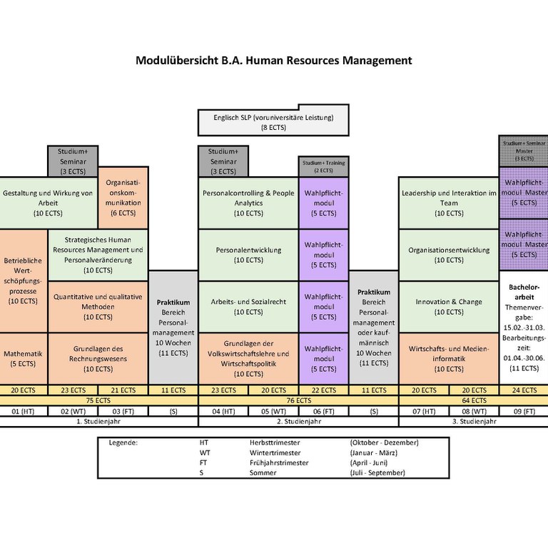 Modulübersicht B.A. Human Resources Management