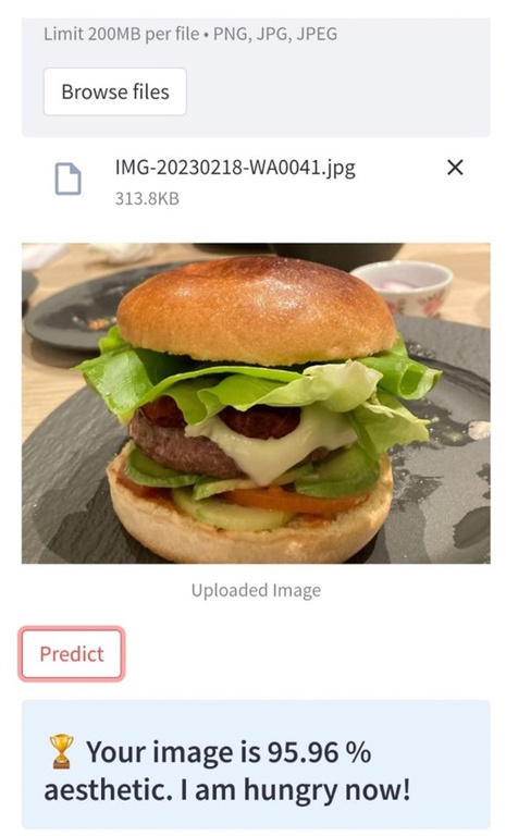 Screenshot zur Klassifikation der Ästhetik von Speisen.jpg