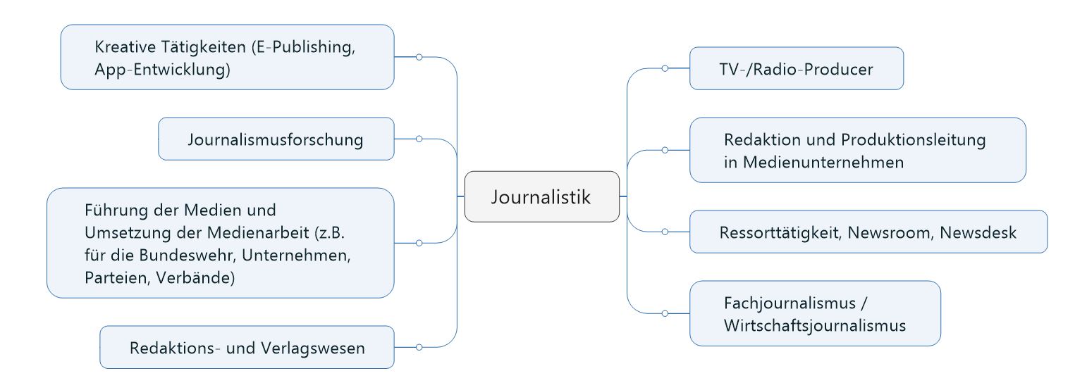 Kompetenzen Journalismus