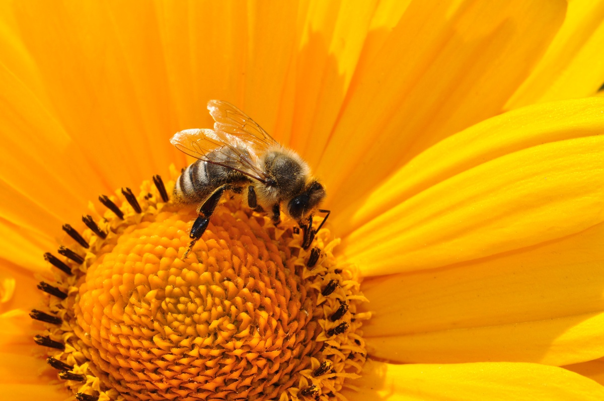 UniBw-Startup m-Bee receives EXIST grant