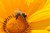 UniBw-Startup m-Bee receives EXIST grant