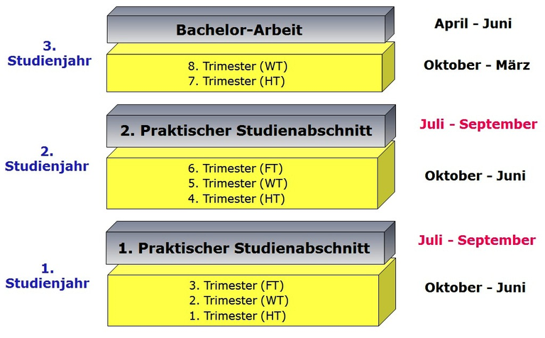 Bild Praktische Studienabschnitte 1 TIKT.png