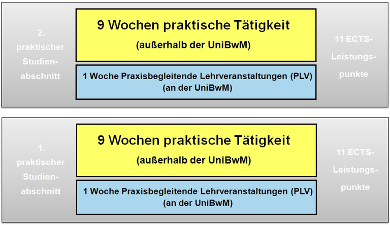 Bild Praktische Studienabschnitte 2 TIKT.png