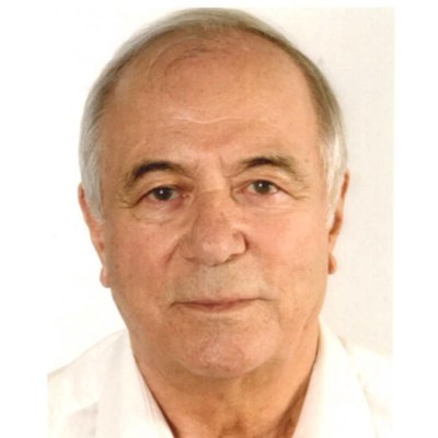 Prof. Dipl.-Ing. Peter Pauli