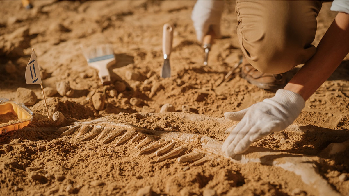 Akteurinnen archäologischer Forschung