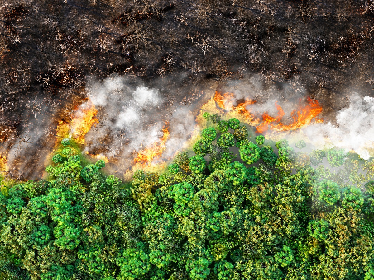 SERAFIM - Satellitengestützte Waldbranddetektion