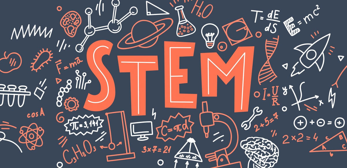 females’ and male study progress in STEM subjects