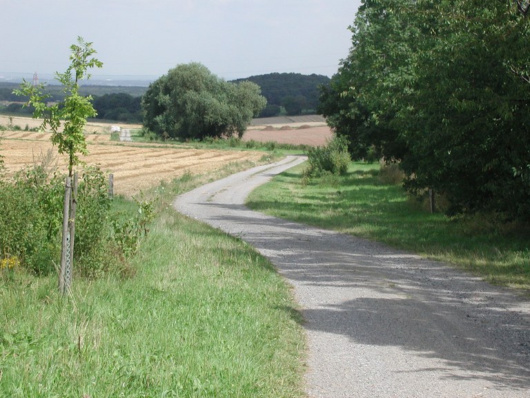 Wegebau.jpg