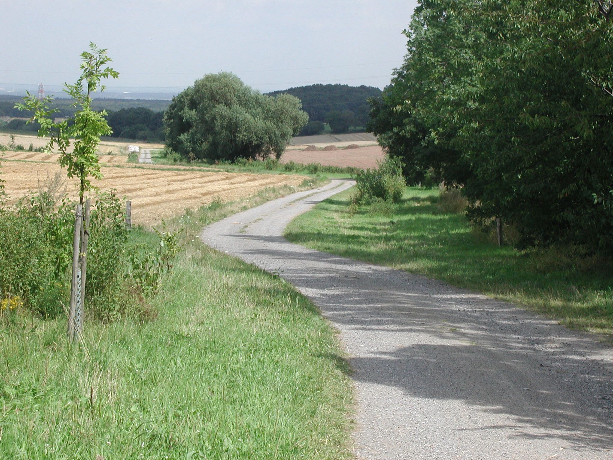 Wegebau.jpg