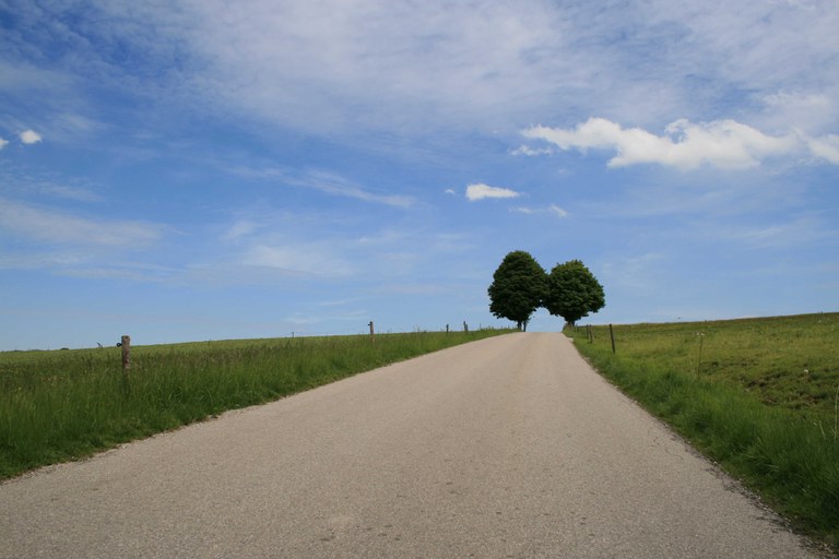 hsamb_landschaft.JPG