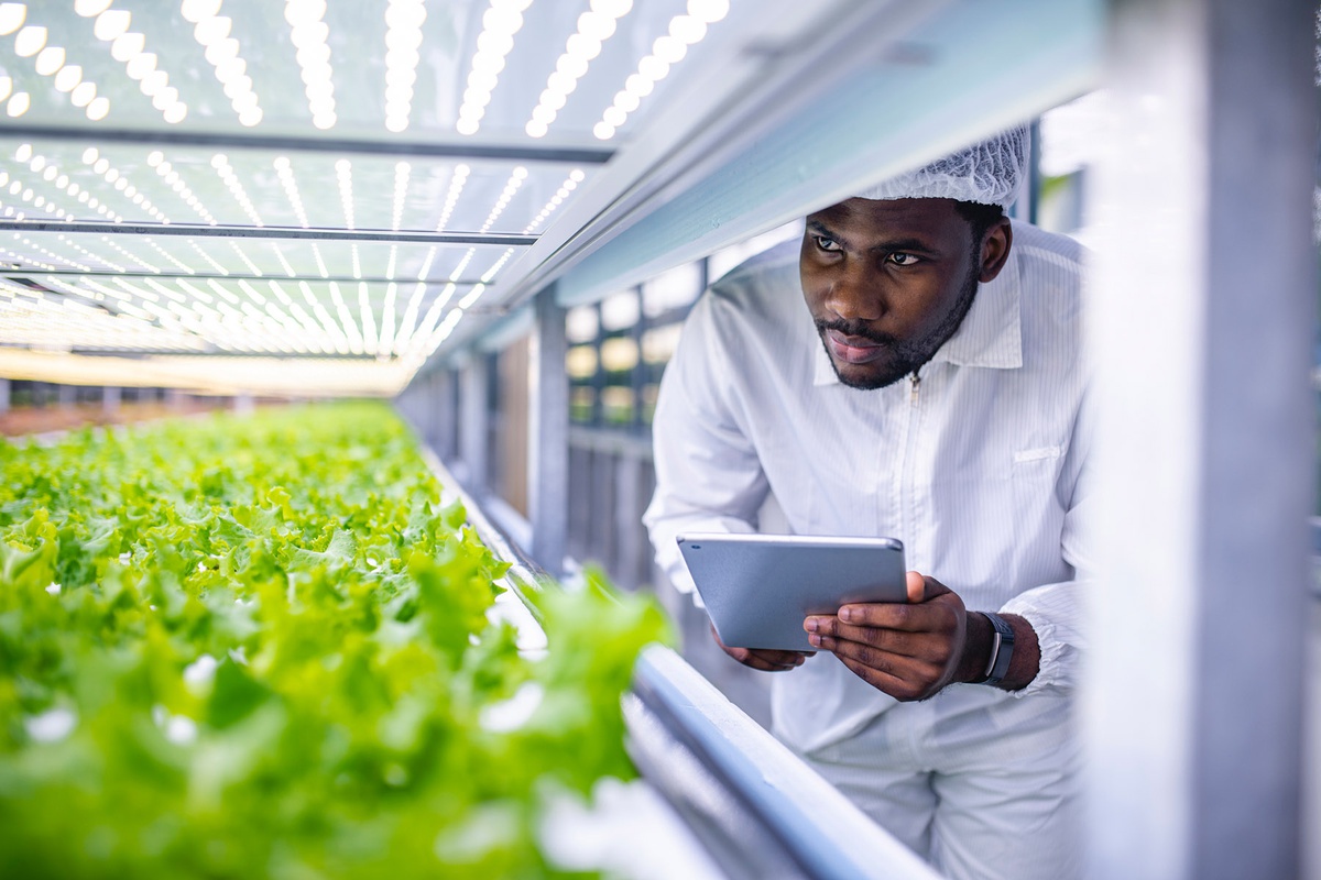 Nachhaltige Lebensmittelsysteme für Afrika