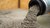 UniBw-M_Versuch-Pumpbarkeit-Infraleichtbeton2.jpg