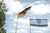 unibwm_aktuelles_fahnen israel deutschland.jpg