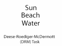 drm.png