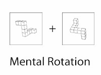 mentalrotation.png