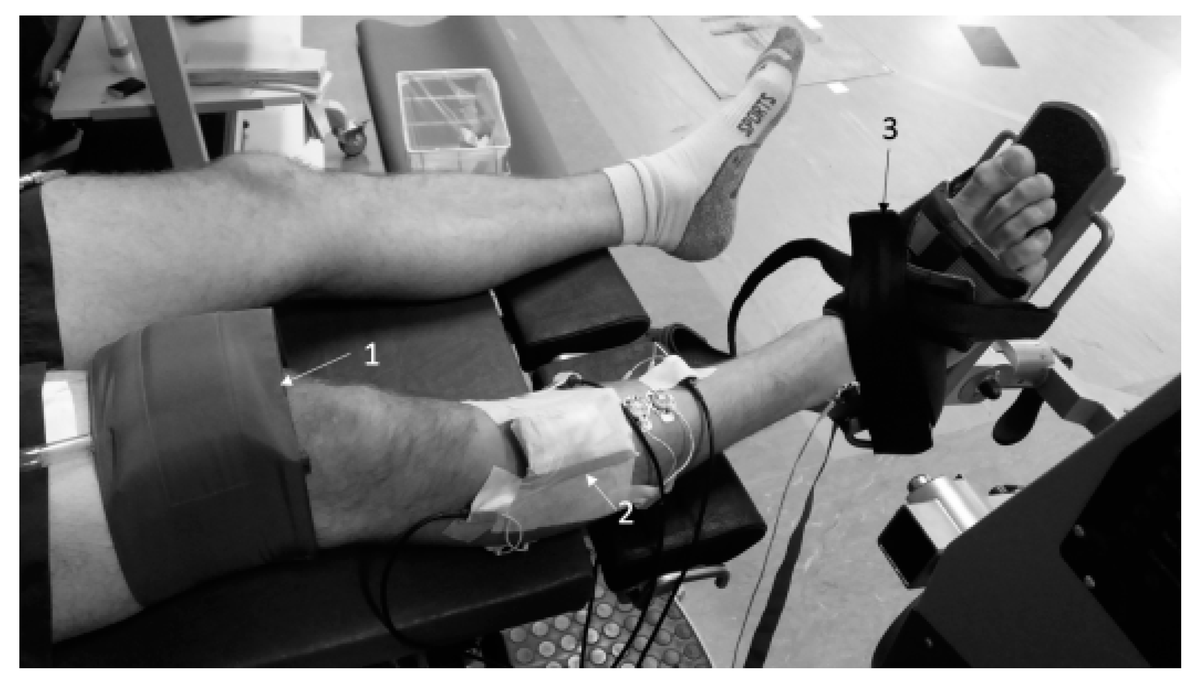 Comparison of Different Approaches Estimating Skeletal Muscle Oxygen Consumption Using Continuous-Wave Near-Infrared Spectroscopy at a Submaximal Contraction Level—A Comparative Study