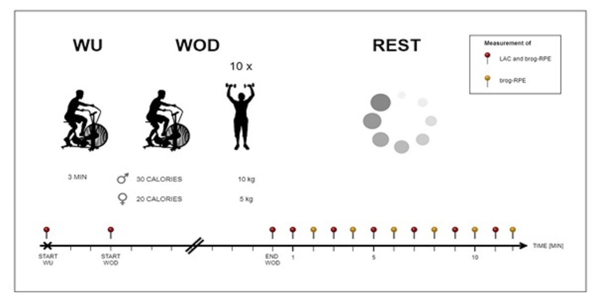 Delayed Increase in Blood Lactate Concentration after a Short, Intense CrossFit® Workout