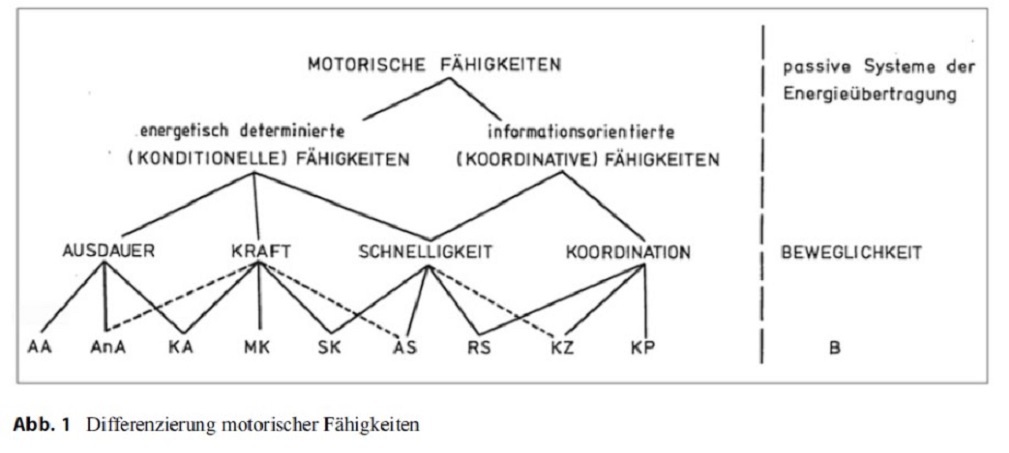 Dimensionen der Motorik
