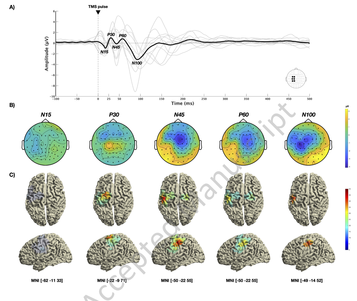 Monitoring Changes in TMS-Evoked EEG and EMG Activity During 1 Hz rTMS of the Healthy Motor Cortex