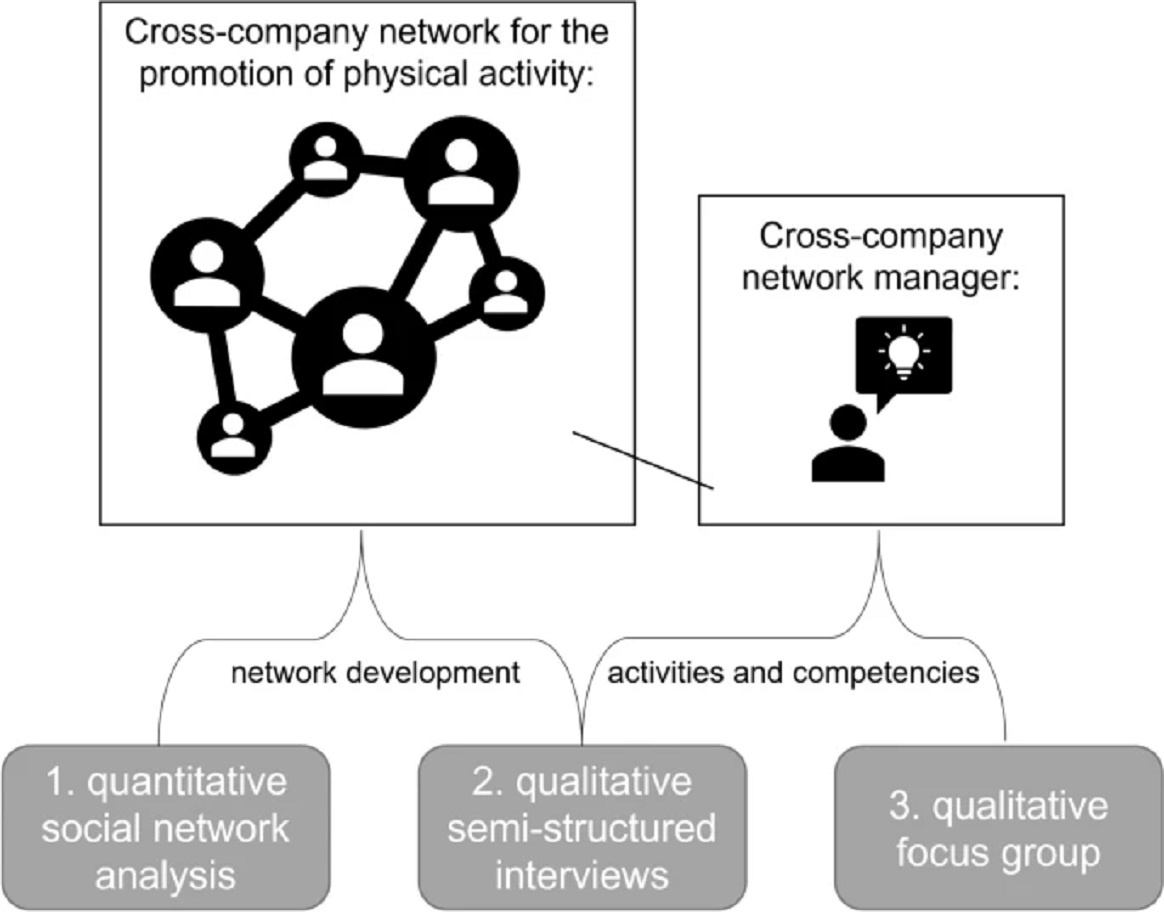 Network development in workplace health promotion – empirically based insights from a cross-company network promoting physical activity in Germany