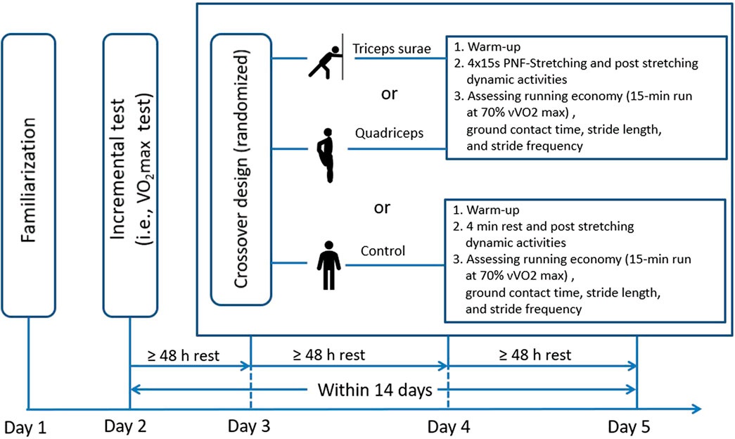 Quadriceps or triceps surae proprioceptive neuromuscular facilitation stretching with post-stretching dynamic activities does not induce acute changes in running economy