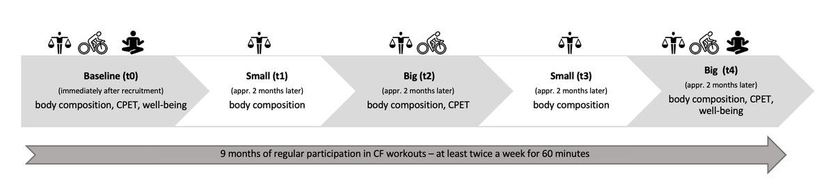 StartXFit—Nine Months of CrossFit® Intervention Enhance Cardiorespiratory Fitness and Well-Being in CrossFit Beginners