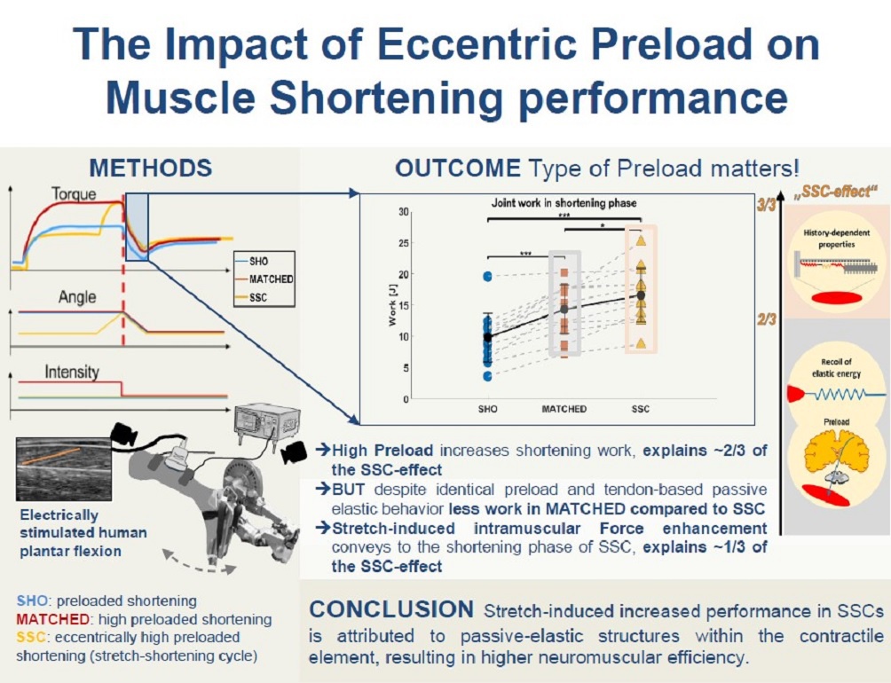 Unlocking the benefit of active stretch: the eccentric muscle action, not the preload, maximizes muscle-tendon unit stretch-shortening cycle performance