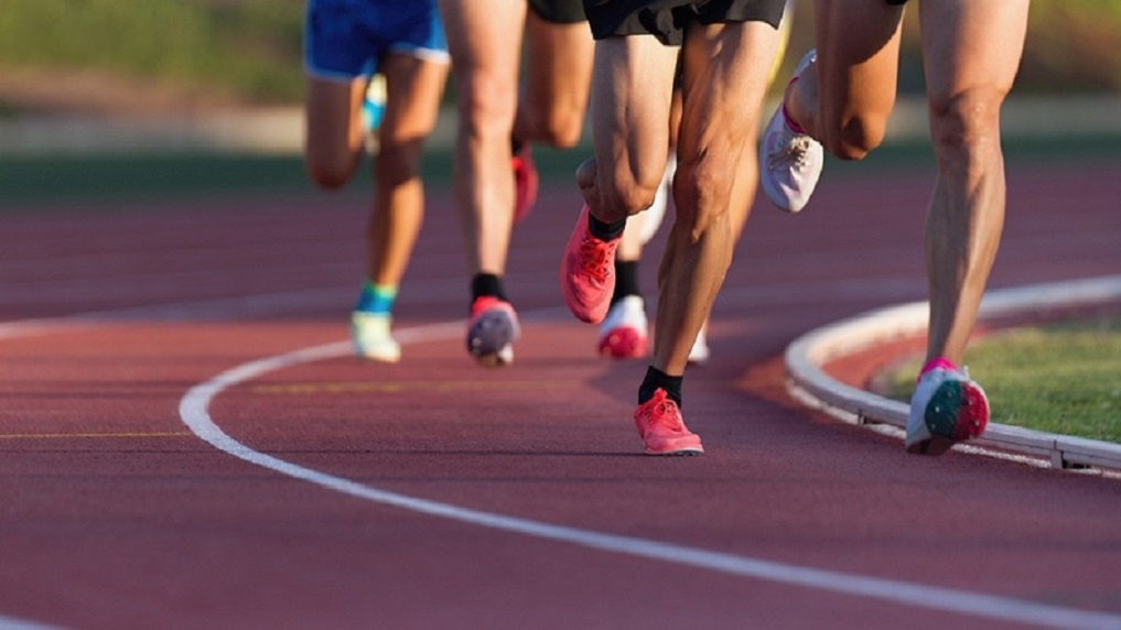 Wie holen Spitzensportlerinnen und -sportler eine Goldmedaille?