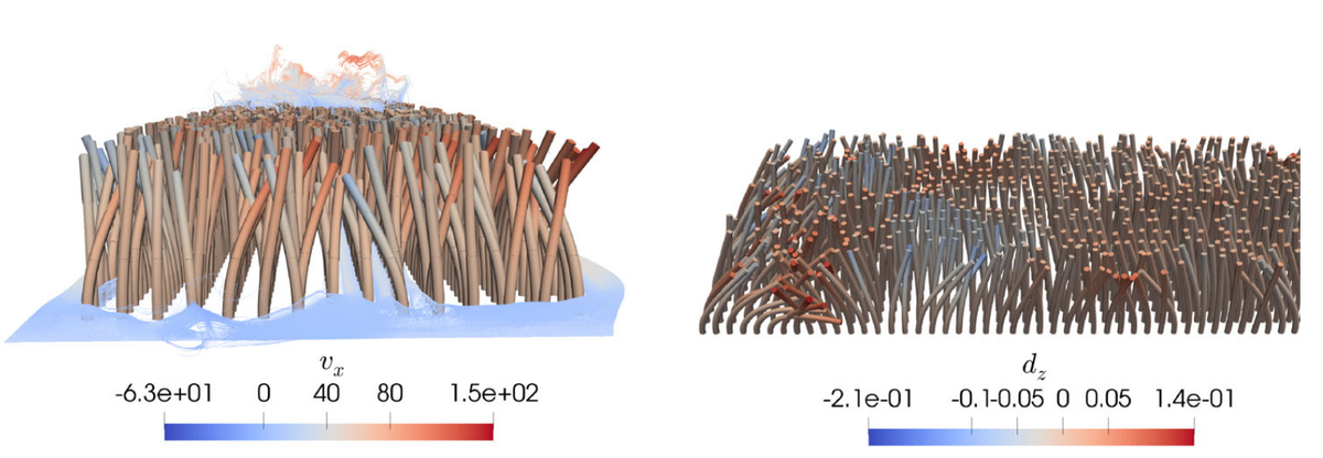 New publication on two-way-coupled fluid/beam interaction