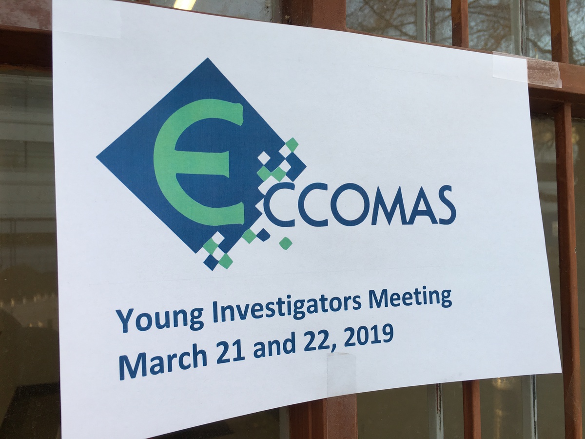 ECCOMAS European Young Investigators meet at our university