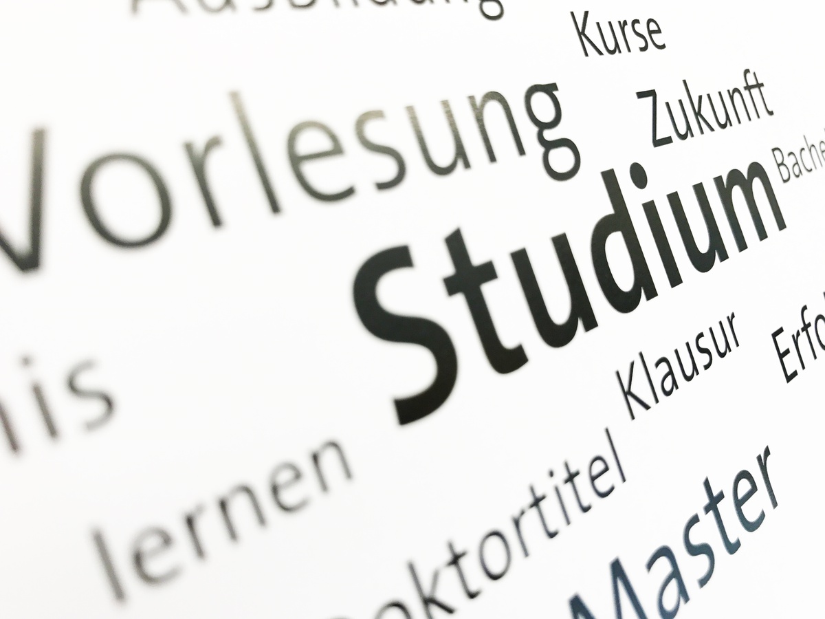 Neue Studienrichtungen