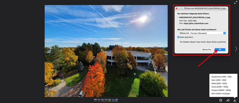 Flickr_Download
