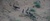 Familie Pfau.JPG