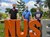Besuch bei der NUS