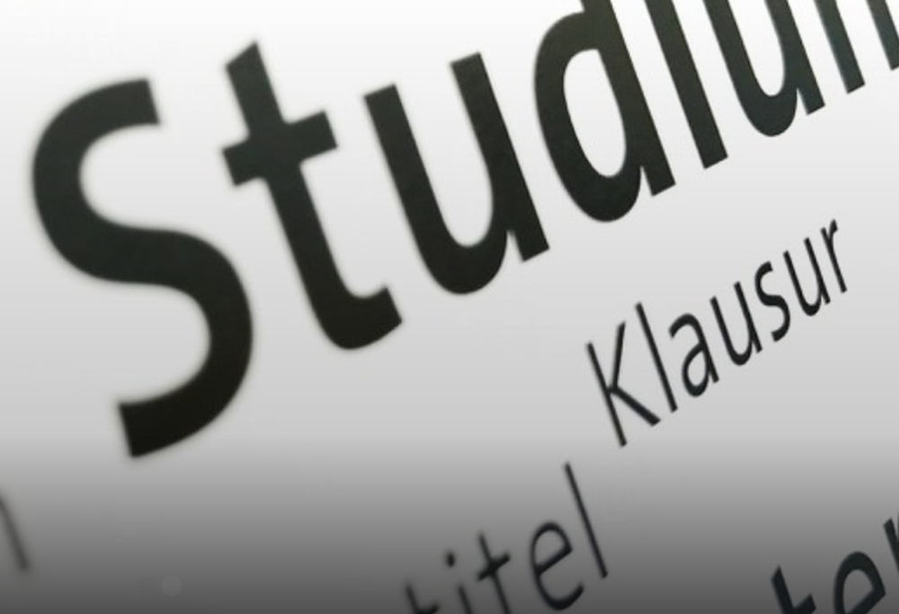 Prof. P. Stütz wird neuer Studiendekan