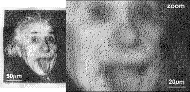 image (1).gif