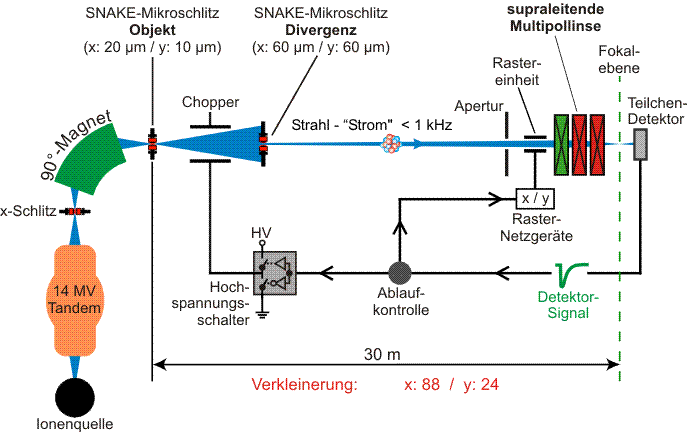 image.gif