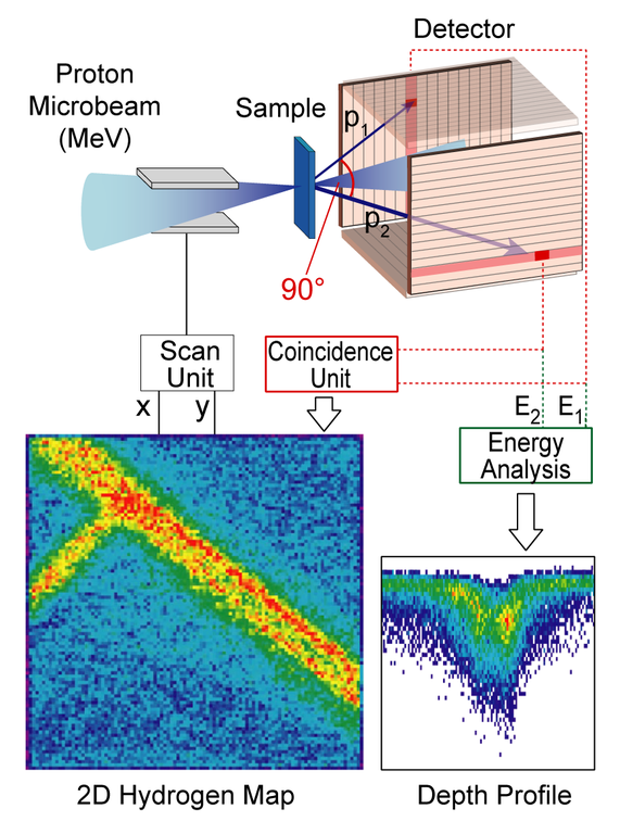 Am Münchner Teilchenbeschleuniger ist derzeit die einzigartige und sensitivste 3D Wasserstoffmikroskopie von dünnen Schichten (30 µm (Wolfram) - 180 µm (Silizium)) mittels Proton-Proton Streuung aufgebaut. Hierbei wird ein Protonen-Strahl mit einer Energie von bis zu 30 Megaelektronenvolt auf die Probe fokussiert. Die Protonen streuen beim Durchdringen der Probe an den Atomen aller Elemente. Wenn ein Proton jedoch auf einen  Wasserstoffkern trifft, also ebenfalls auf ein Proton, kommt es zu einer speziellen Streureaktion. Vergleichbar mit den Kugeln gleicher Masse bei einem klassischen Billard-Spiel streuen die beiden Teilchen