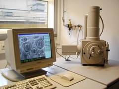 Metallographie4.jpg