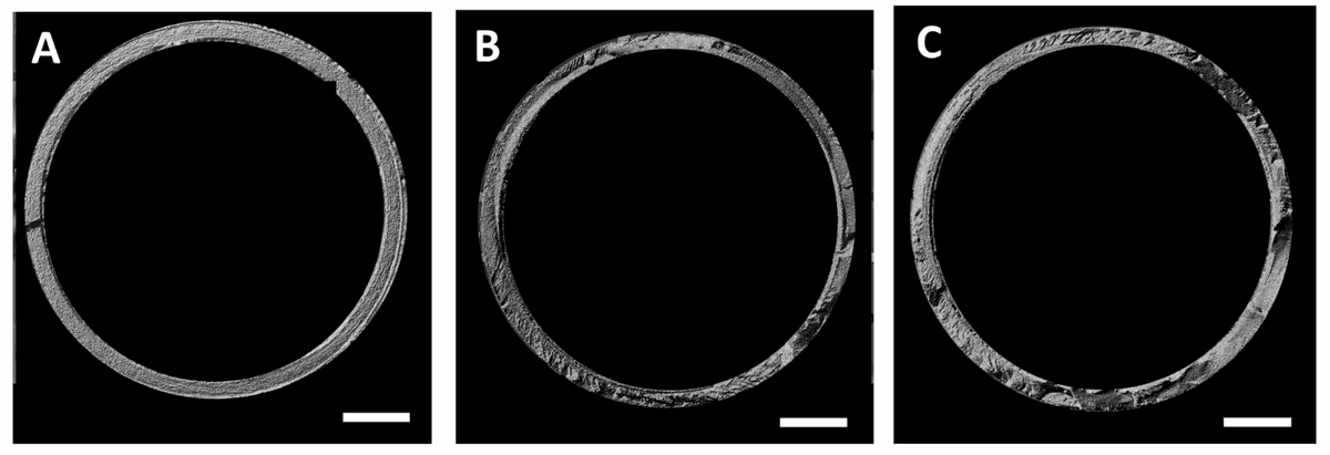 Neues Paper zu 3D-Druck in einem Vakuum