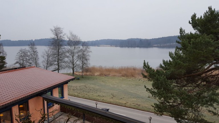 PelhamerSee.jpeg