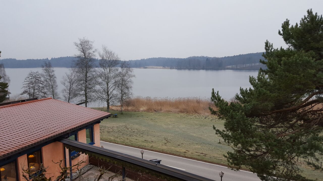 PelhamerSee.jpeg