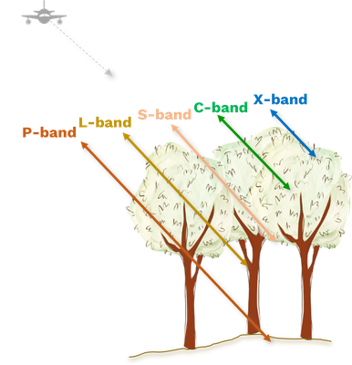 SAR-Bild.png