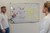 Project studies
