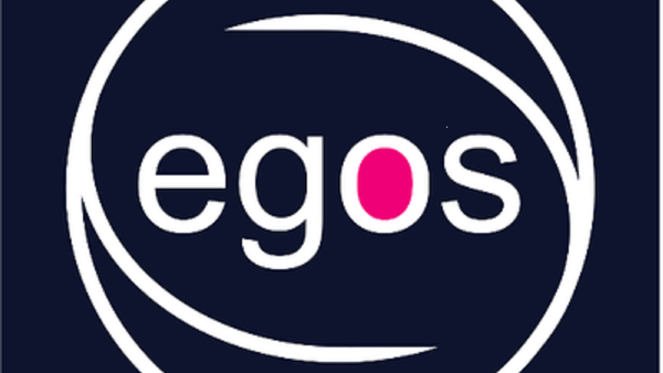 EGOS: Konferenzbeitrag angenommen