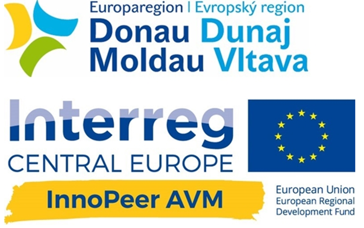 InnoPeer AVM – Roll-out Konferenz