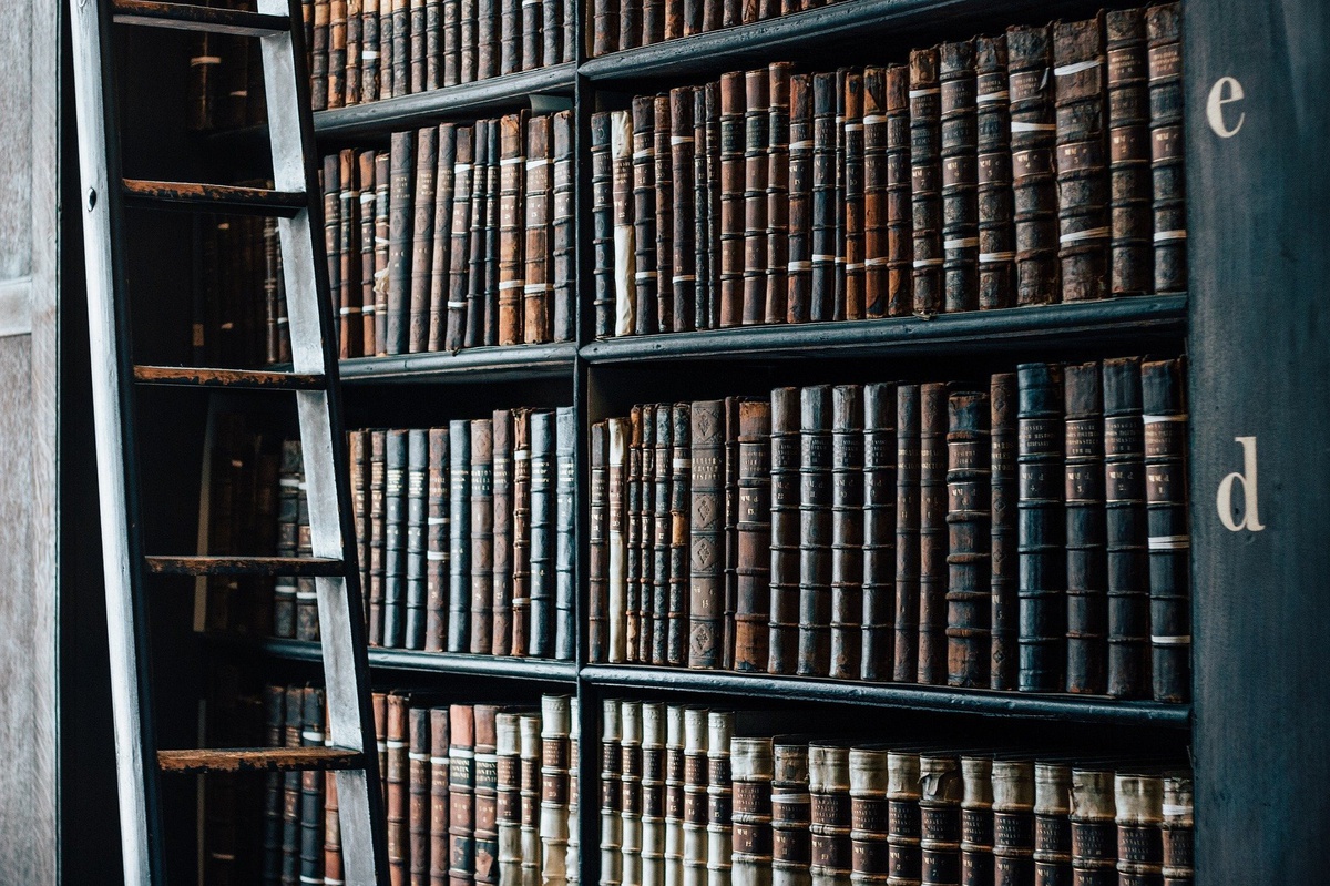 Neuer Beitrag „Dual roles and blurred identities“ in führender wissenschaftlicher Fachzeitschrift