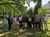Workshop „Industrie 4.0 und organisationaler Wandel“