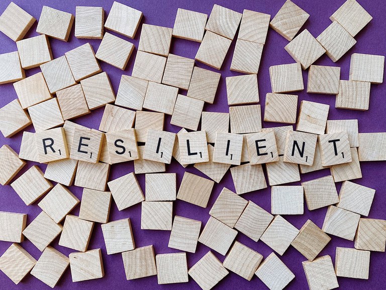 resilient-4899506_1920.jpg