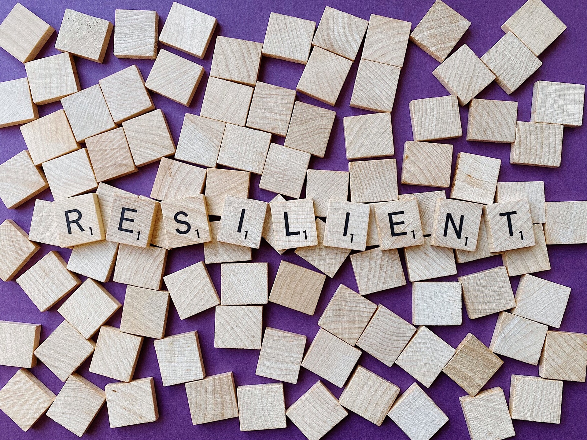 resilient-4899506_1920.jpg